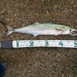 狙い通りには届かずも