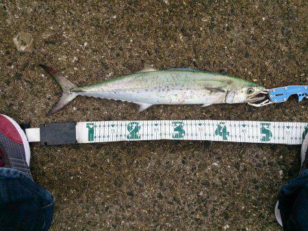 狙い通りには届かずも