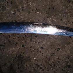 シーズン終盤！