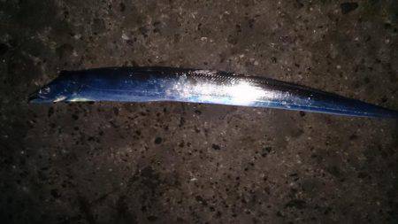 シーズン終盤！