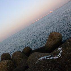 シーバス狙いでサゴシ！