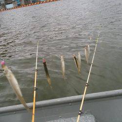 今年初ワカサギ、初場所