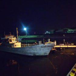 アジを釣りに！