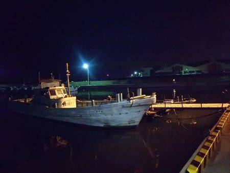 アジを釣りに！