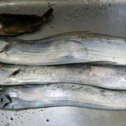 ドラゴンを求めて3