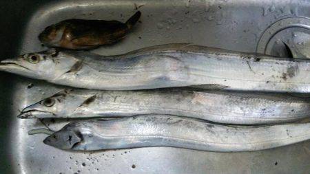 ドラゴンを求めて3