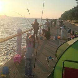 ファミリーフィッシング