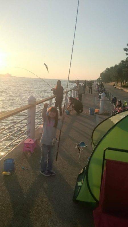 ファミリーフィッシング