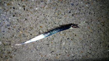 ハニースポット!?