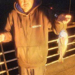 タチウオとガシラとアジとそのた