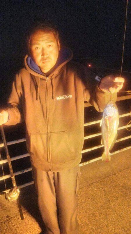 タチウオとガシラとアジとそのた