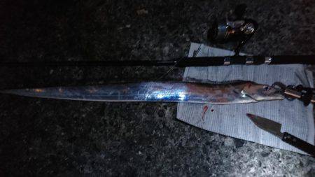 ルアーで太刀魚