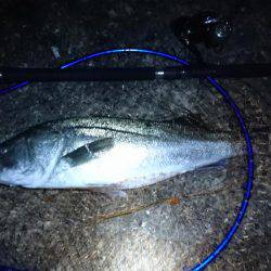 出勤前の30分で…