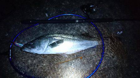 出勤前の30分で…