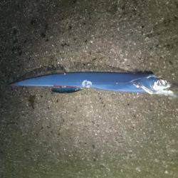 サーベルハンター