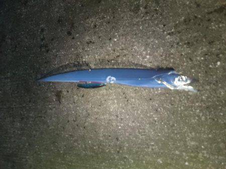 サーベルハンター