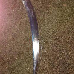 もう終わりかな