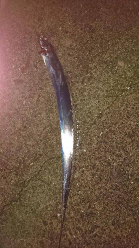 もう終わりかな