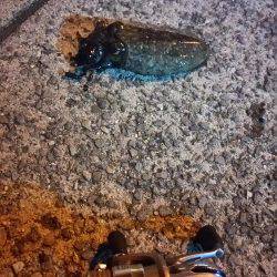 そろそろ釣れるかな