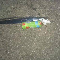 渋いアオリイカ狙いがタチウオ