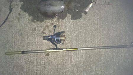 昨日に続き夕まずめねらいで！