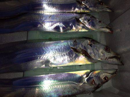 南港初ポイントへ