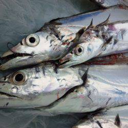 昨日とは全く異なる状況