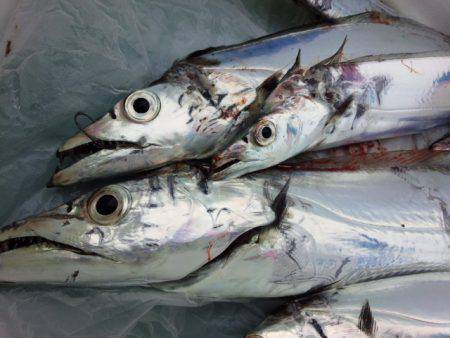 昨日とは全く異なる状況