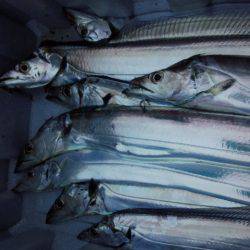 サイズダウンしました。