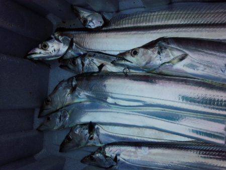 サイズダウンしました。