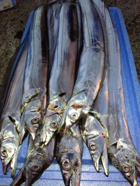 寒い中….それなりに