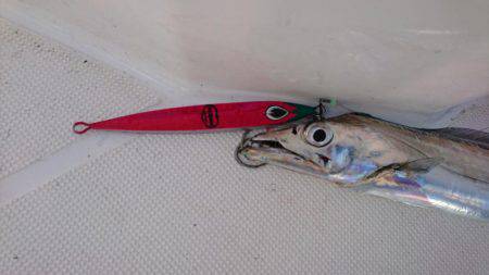 タチウオジギング