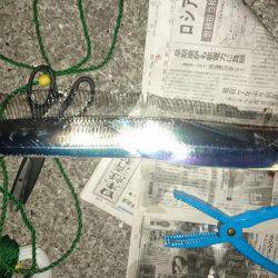 タチウオフィーバー