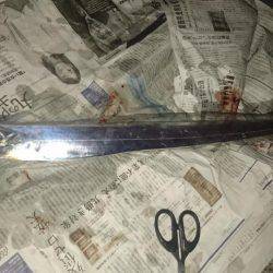 タッチーが釣りたくて