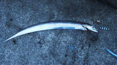 雨の後はキビシイ???