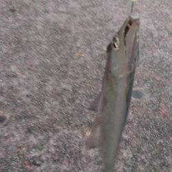 昨日のリベンジ