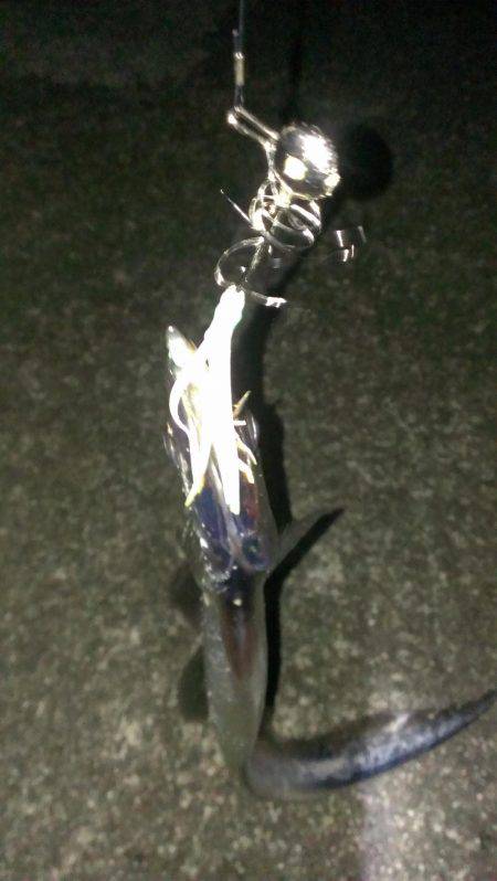 ルアーより餌か