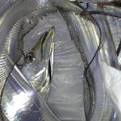 昨日の分も釣れたな