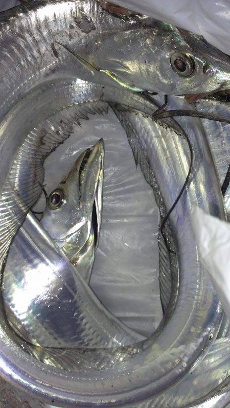 昨日の分も釣れたな