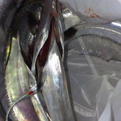 ドラゴン(級)ゲット！