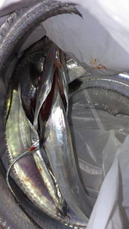 ドラゴン(級)ゲット！