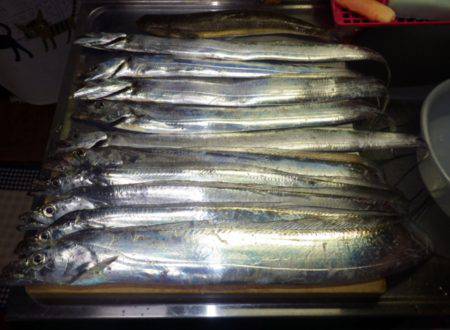 タチウオ　やっとツ抜け