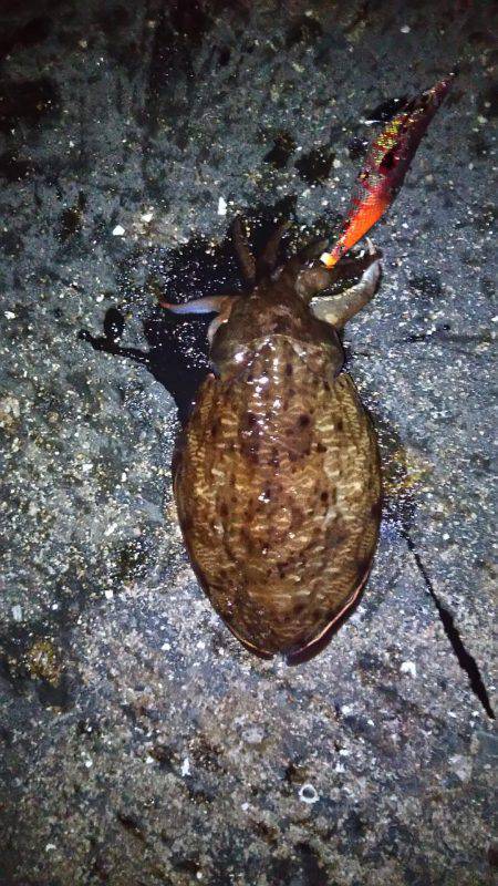 そろそろ終盤戦？