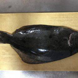 カレイじゃなくて…