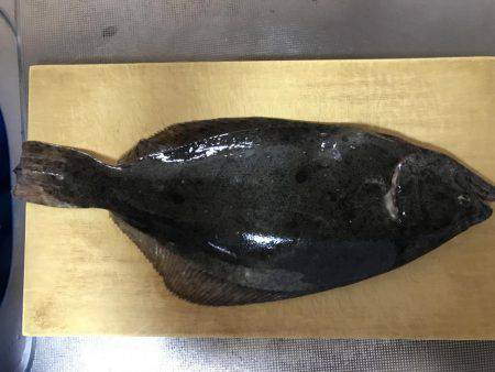 カレイじゃなくて…