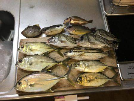 有田川河口で、