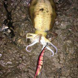 そろそろホゲるかと…