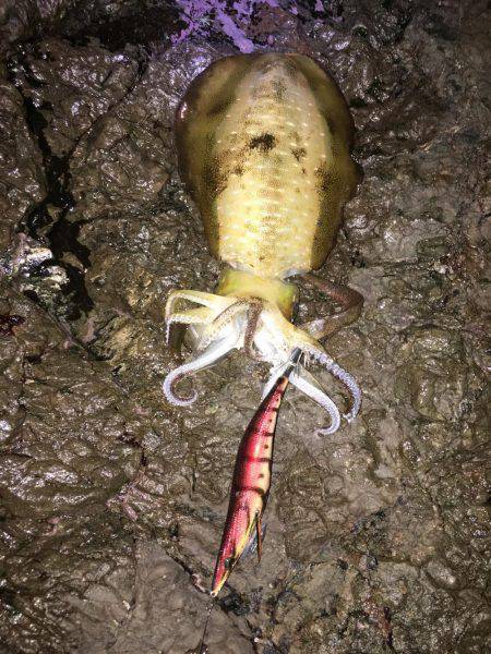 そろそろホゲるかと…