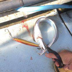 爆風荒波の中ジギング船釣行