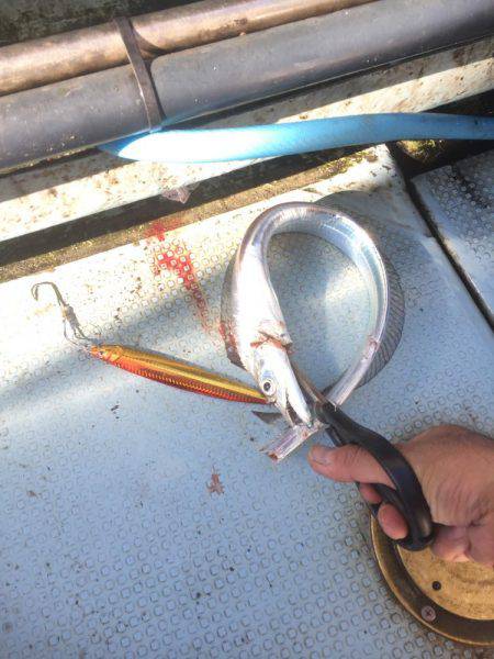 爆風荒波の中ジギング船釣行